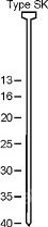 Гвозди с потайной головкой тип SN 140 NK 40мм 5000шт SCHNEIDER C 520008